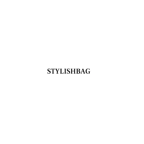 stylish bag