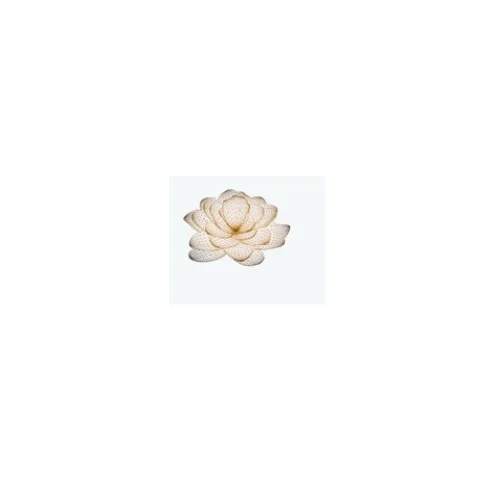 Lotus @ Queensway Medical